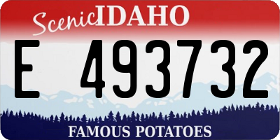 ID license plate E493732