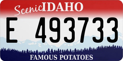 ID license plate E493733