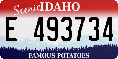 ID license plate E493734