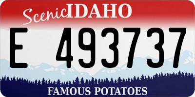 ID license plate E493737
