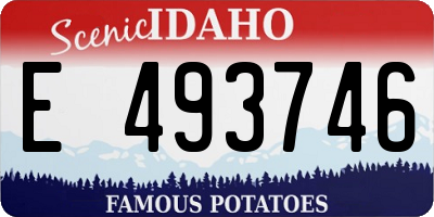 ID license plate E493746