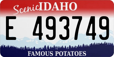 ID license plate E493749