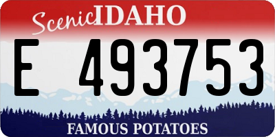 ID license plate E493753