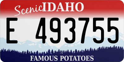 ID license plate E493755