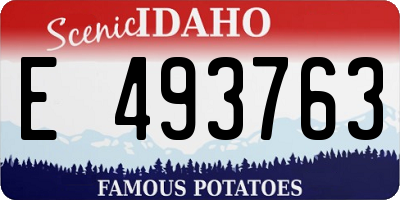 ID license plate E493763