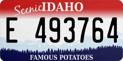 ID license plate E493764