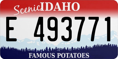 ID license plate E493771
