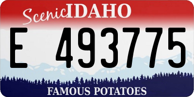 ID license plate E493775