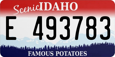 ID license plate E493783