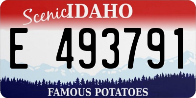 ID license plate E493791