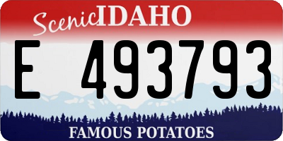 ID license plate E493793