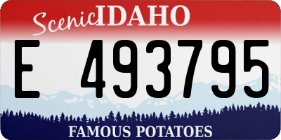 ID license plate E493795