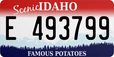 ID license plate E493799