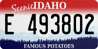 ID license plate E493802