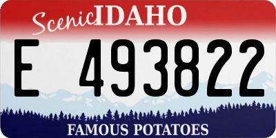 ID license plate E493822