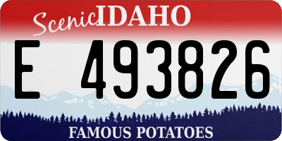 ID license plate E493826