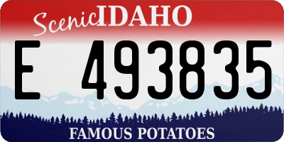 ID license plate E493835
