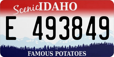 ID license plate E493849