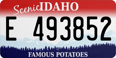 ID license plate E493852