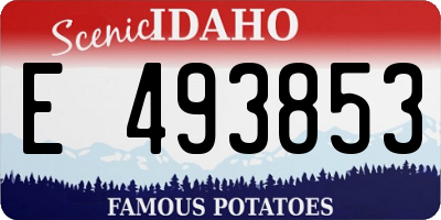 ID license plate E493853