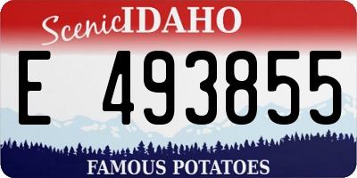 ID license plate E493855