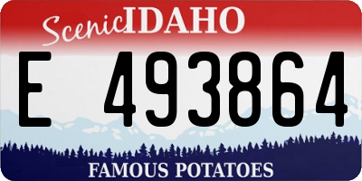 ID license plate E493864