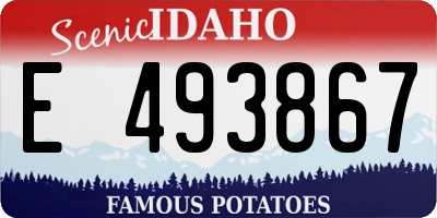 ID license plate E493867