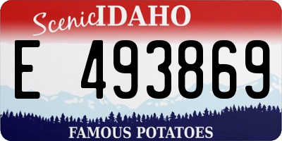 ID license plate E493869