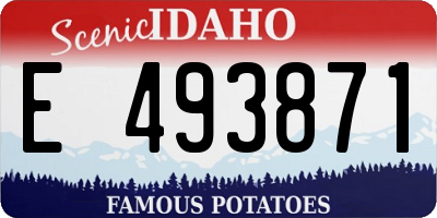 ID license plate E493871