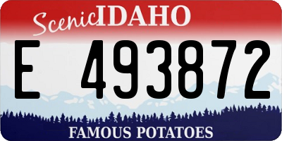 ID license plate E493872