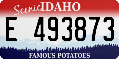 ID license plate E493873