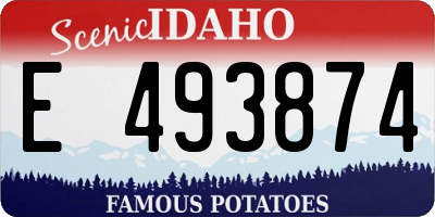 ID license plate E493874