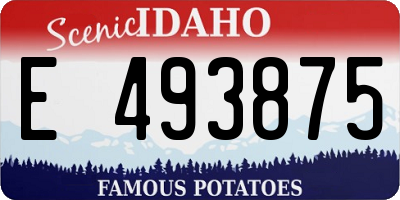 ID license plate E493875