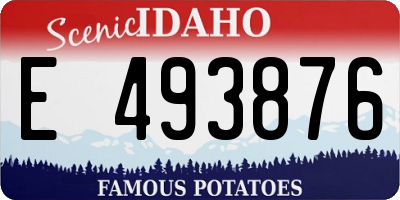 ID license plate E493876
