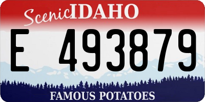 ID license plate E493879