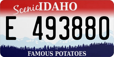 ID license plate E493880