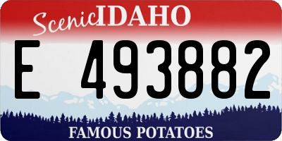 ID license plate E493882