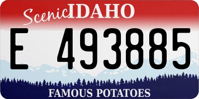 ID license plate E493885