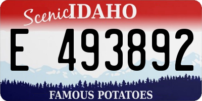 ID license plate E493892