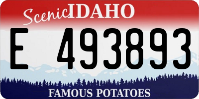 ID license plate E493893