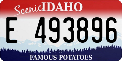 ID license plate E493896