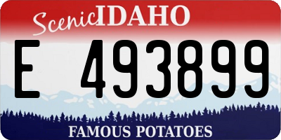 ID license plate E493899