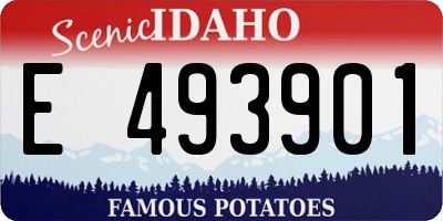 ID license plate E493901