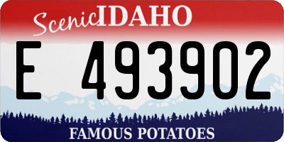 ID license plate E493902