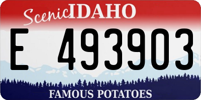 ID license plate E493903