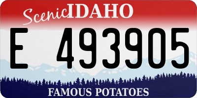 ID license plate E493905