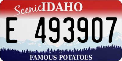 ID license plate E493907
