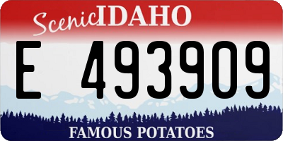ID license plate E493909