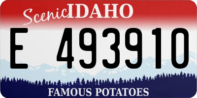 ID license plate E493910
