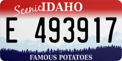 ID license plate E493917